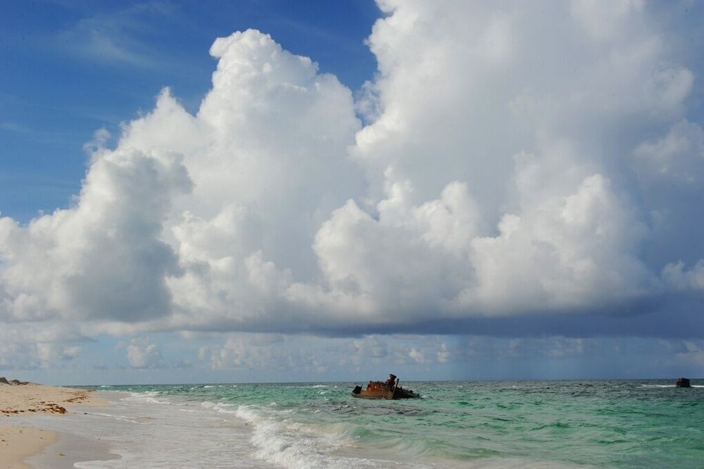 Photo 36