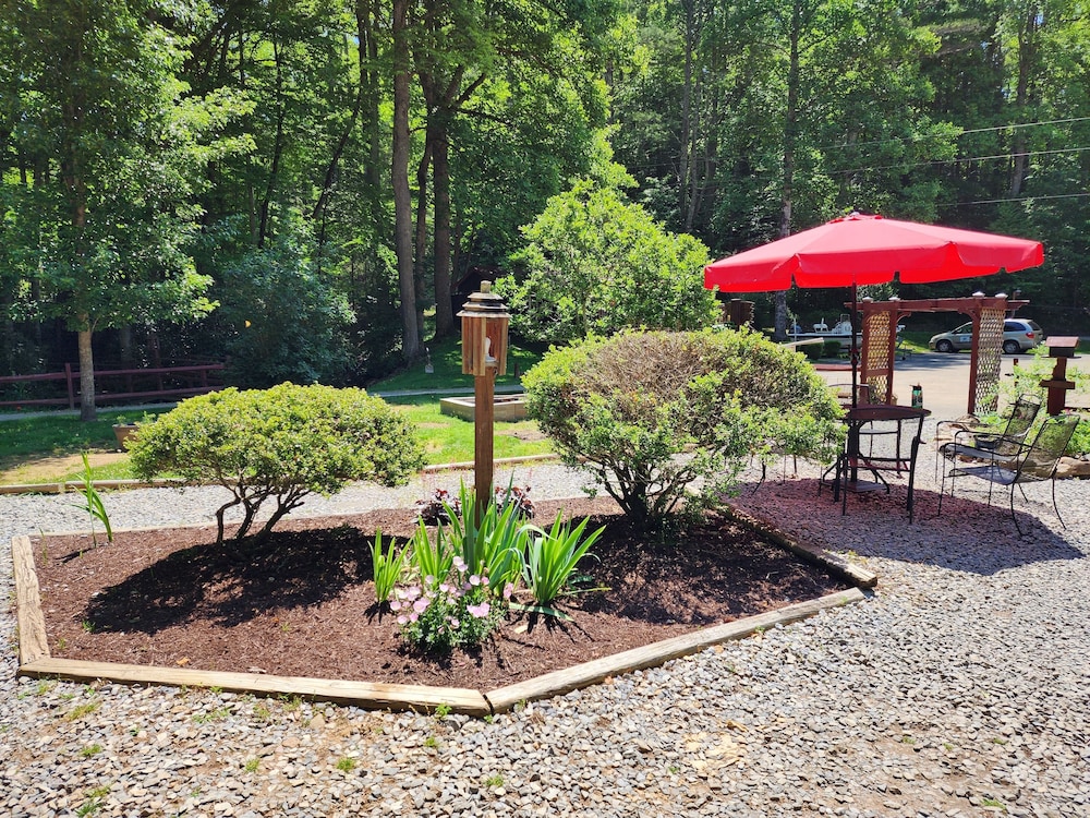 Black Bear Resort
