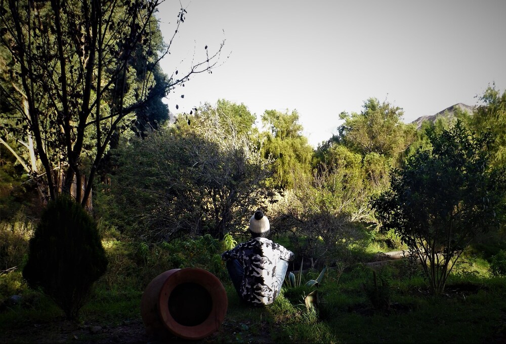Photo 44