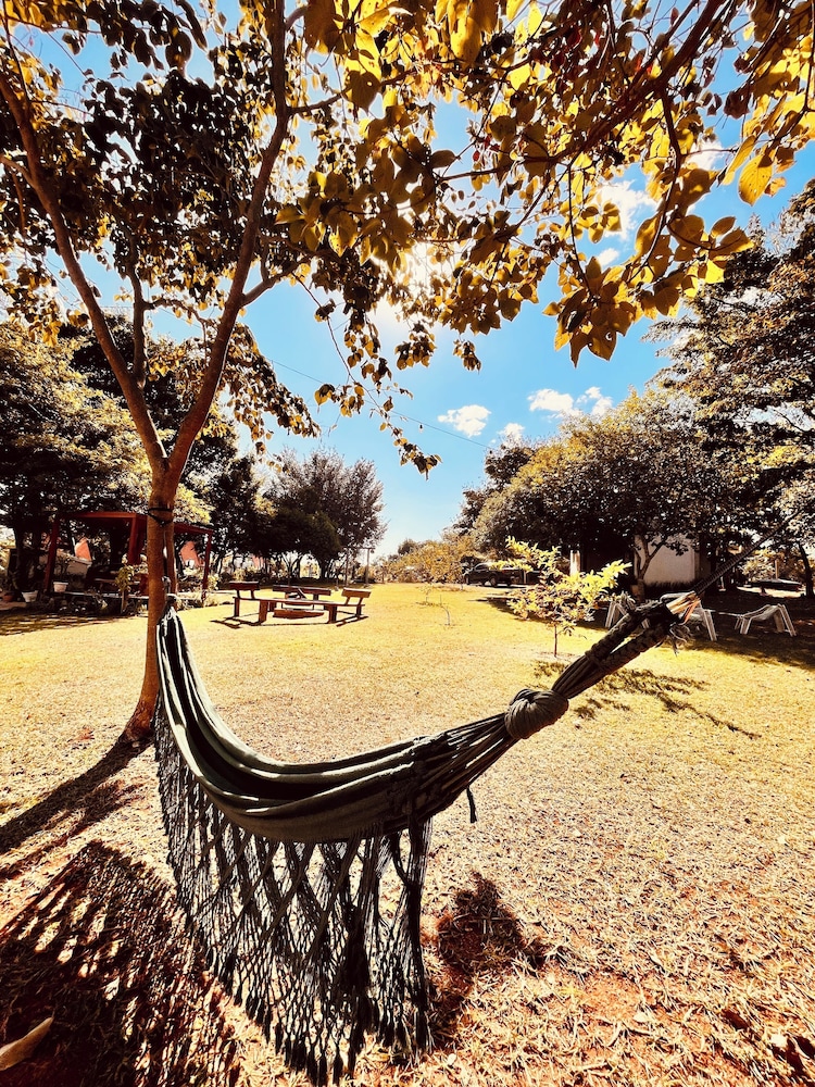 Nativos de Minas