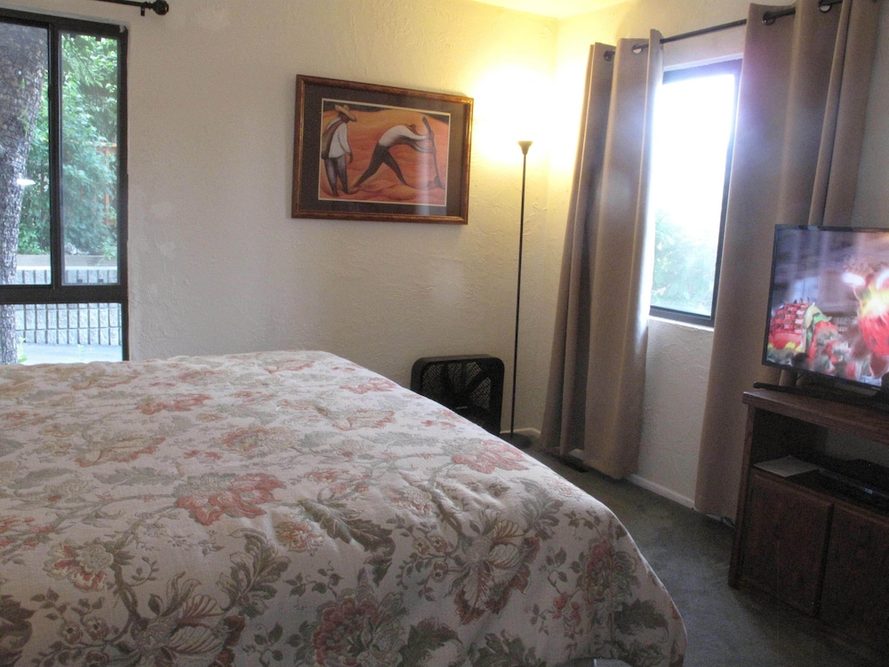 Snow Summit Townhouse Rentals & Sales