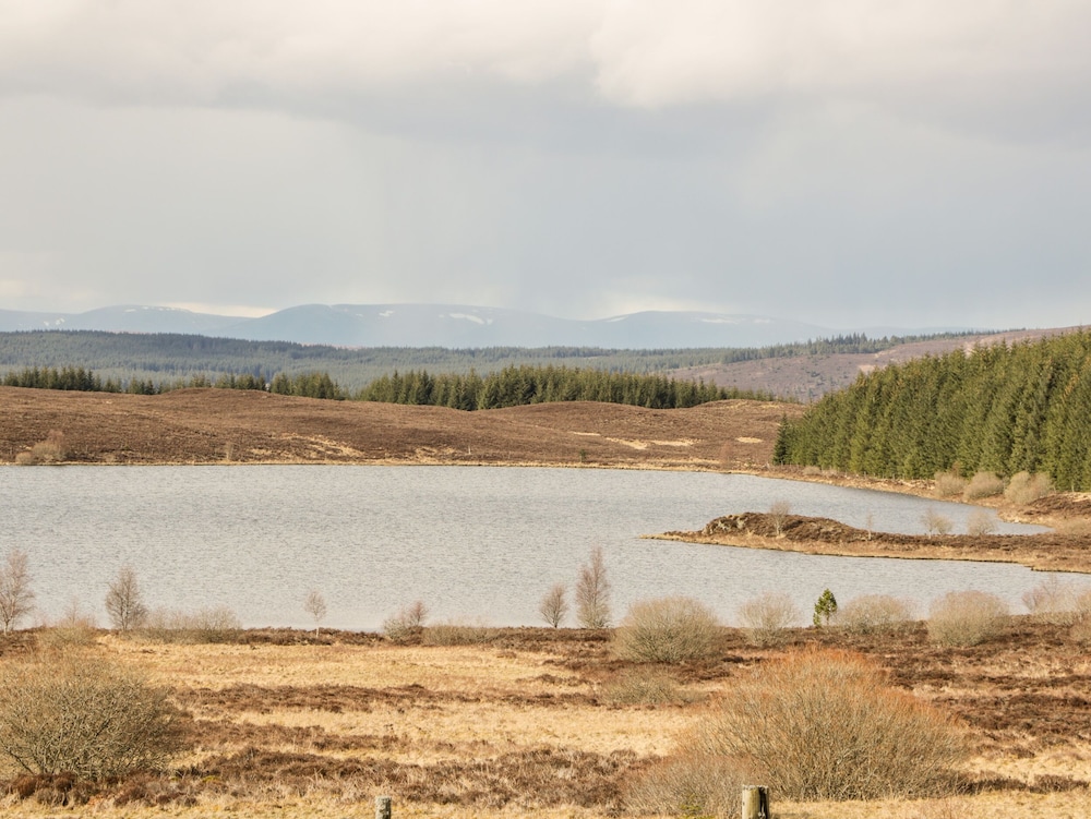 Ptarmigan Lodge