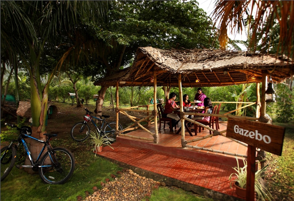 Harvest Fresh Farms