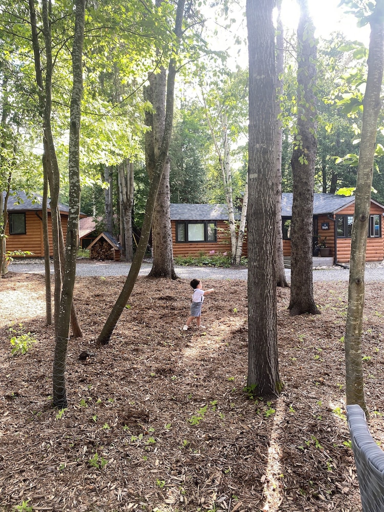 Haliburton Post House
