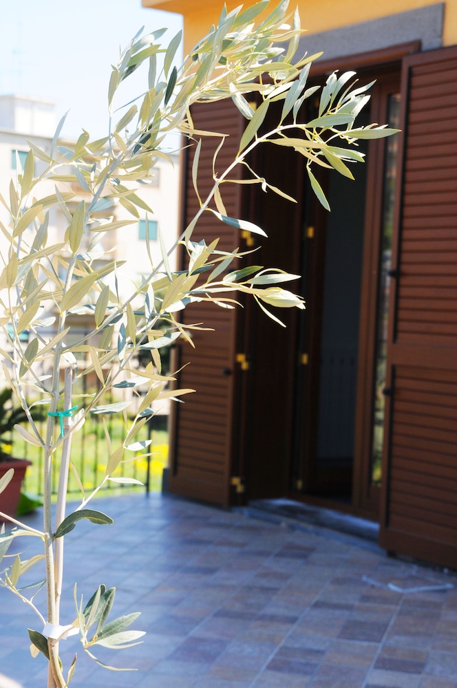 La Circumetnea B&B