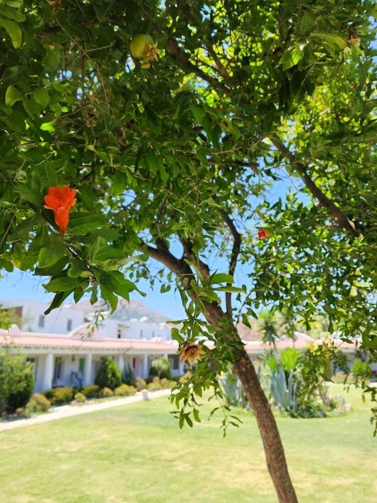 Kefi Beach ve Süitler - Image 122