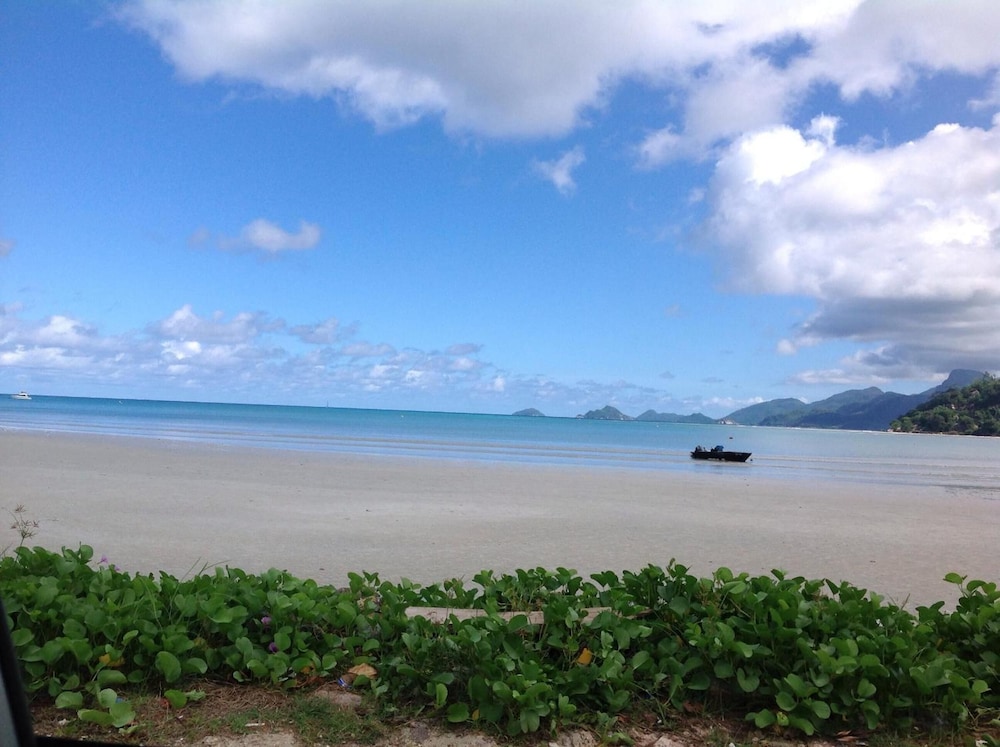 A Peace in Paradise