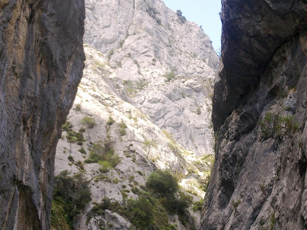 Photo 30