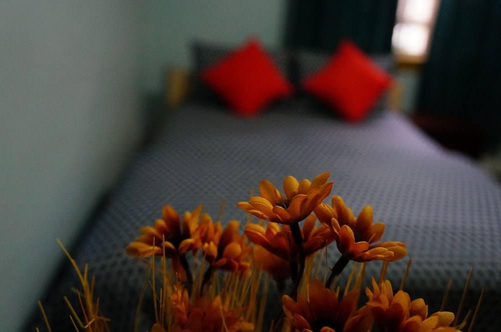 Kensington Market Hostel - Image 3