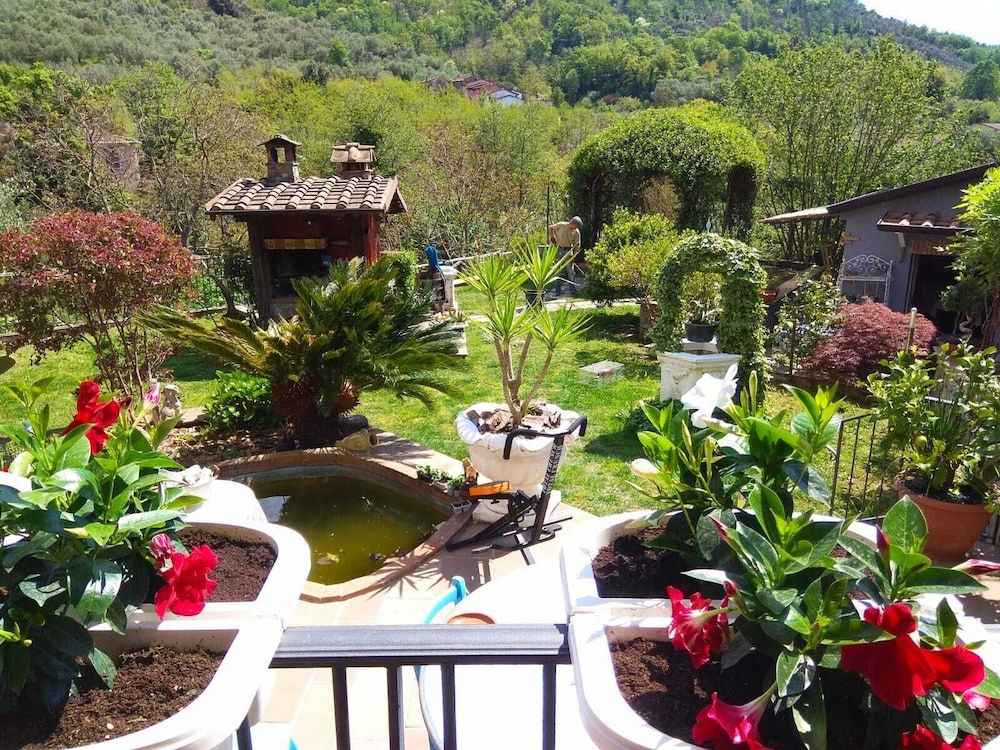 Photo 11