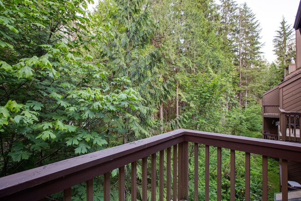 Glacier WA Mt Baker Vacation Rentals