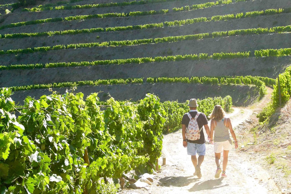 Quinta de la Rosa