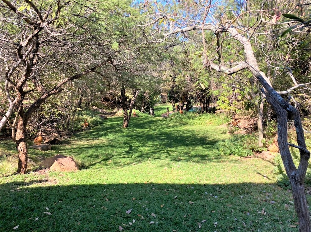 Double Lodge in Natural African Bush - 2111