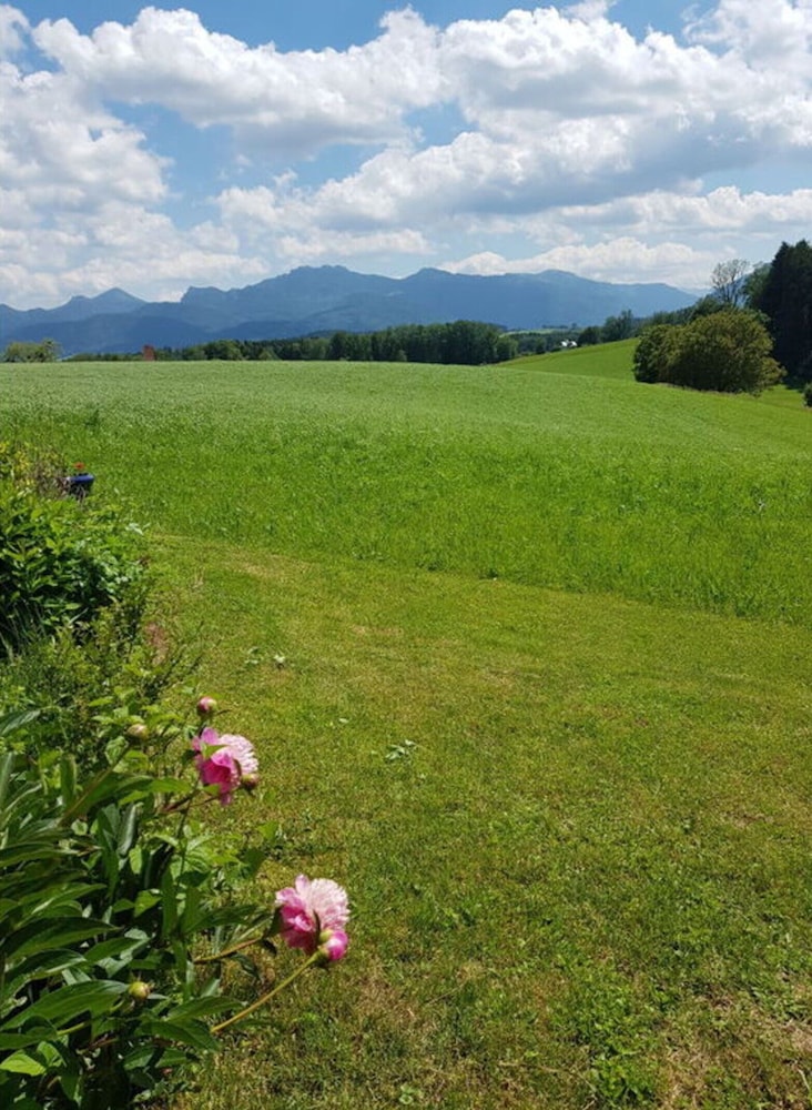 Mountain View Comfortable Holiday Residence