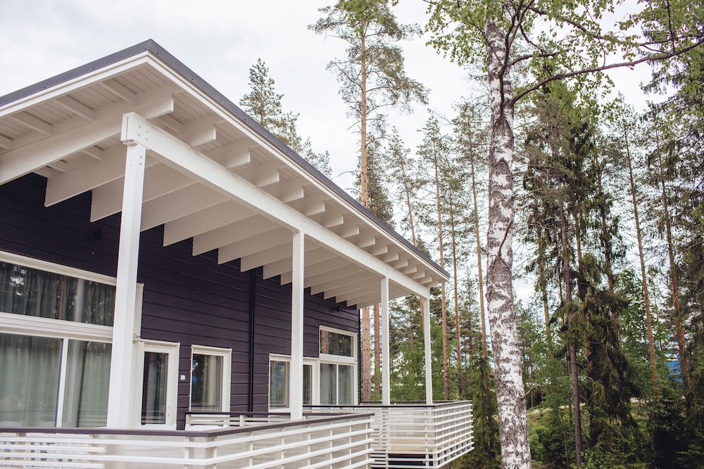 Saimaa Life & Light