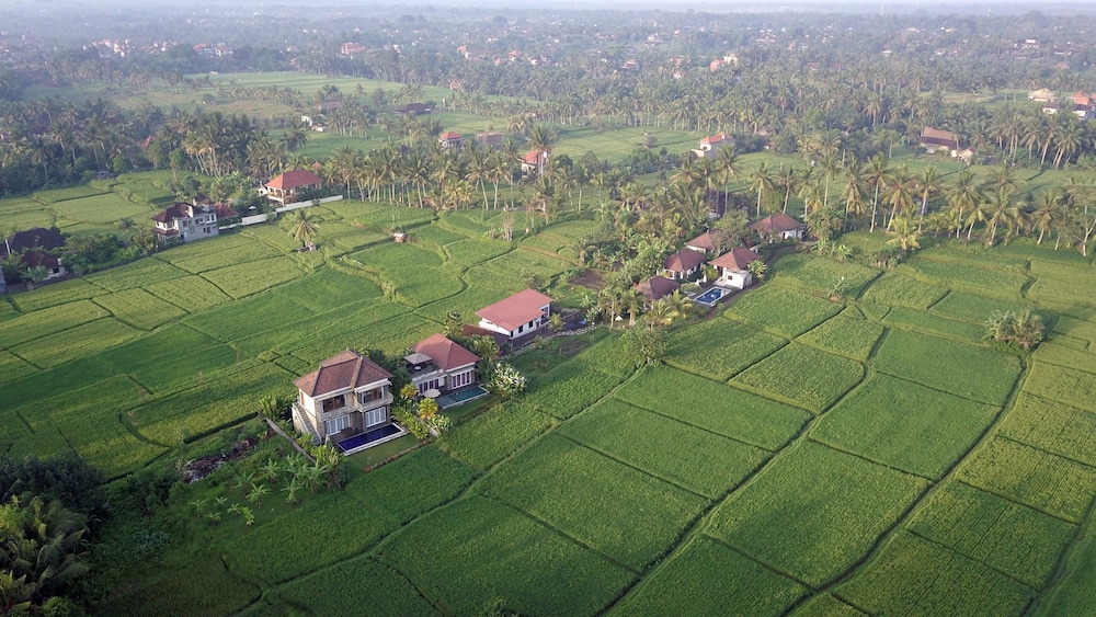The Samara - Image 1