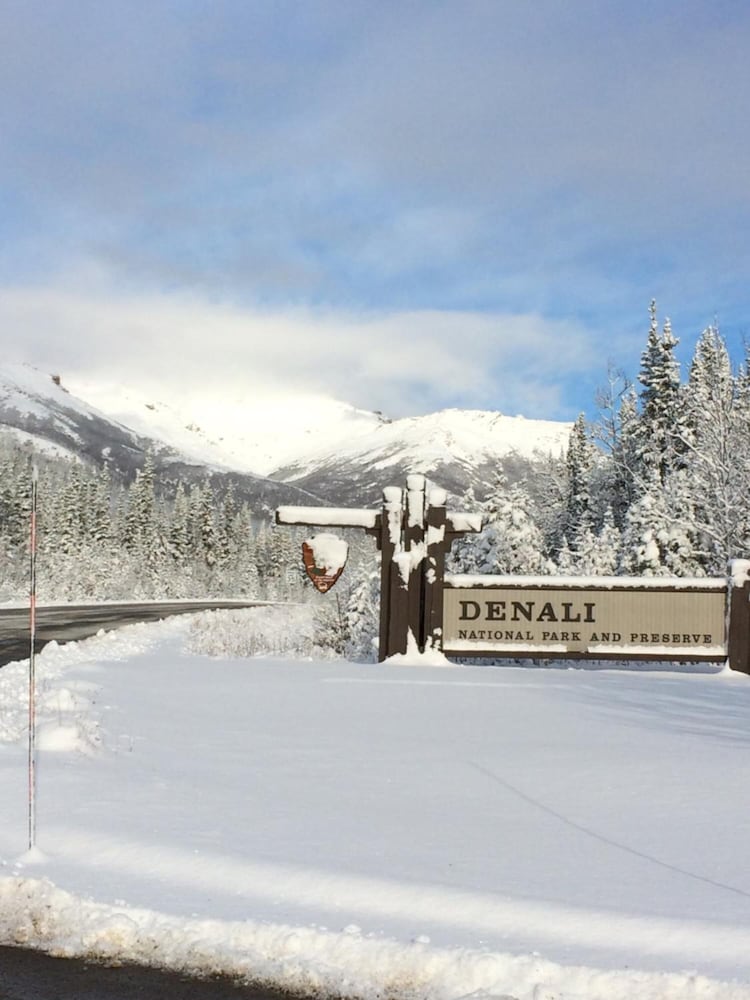 Denali Primrose B&B