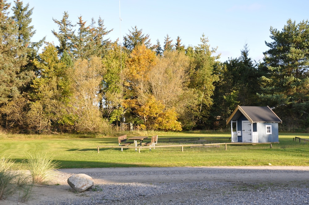 Photo 23