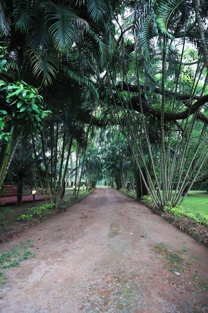 Mancotta Heritage Chang Bungalow