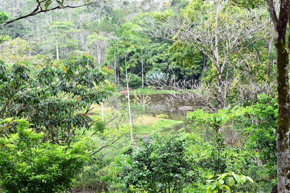 Hotel Finca L’Étoile Celeste