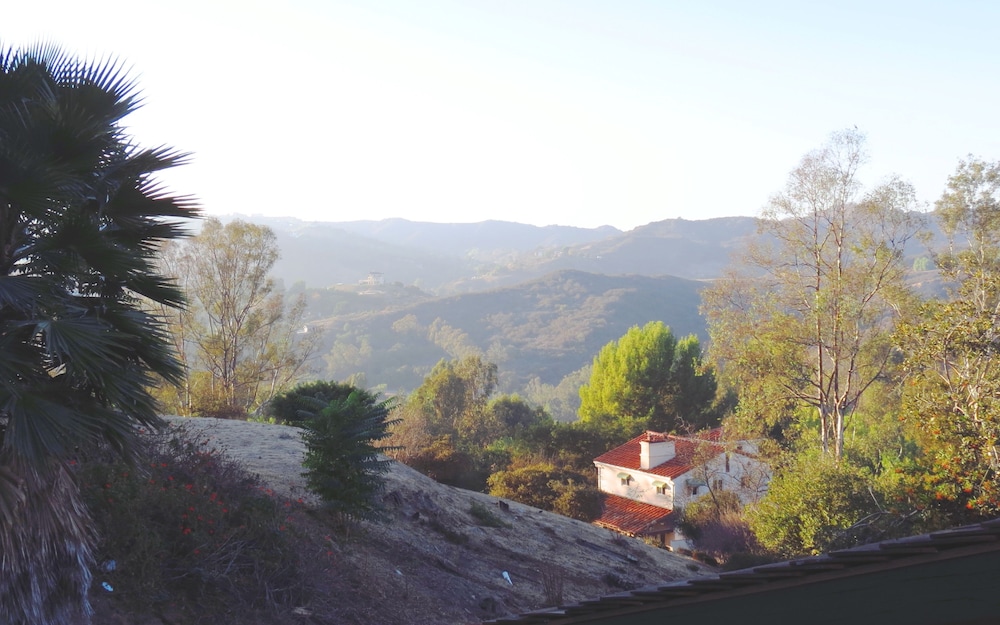 Photo 44