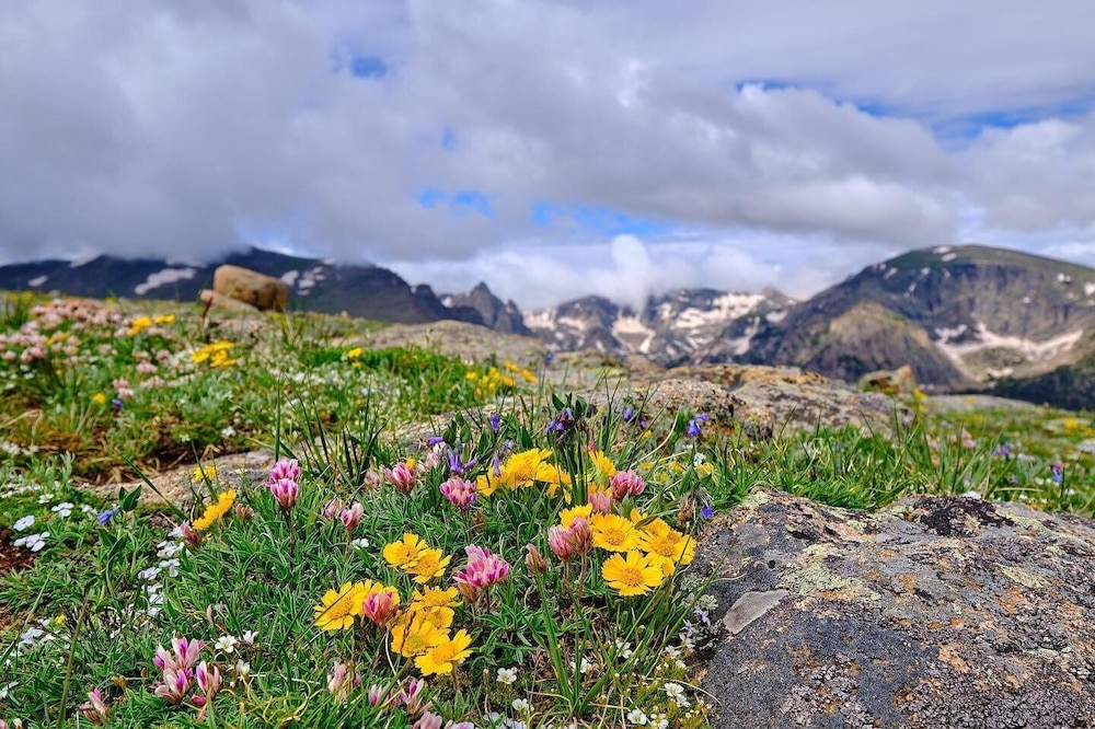 Estes Park Vacation Lodging