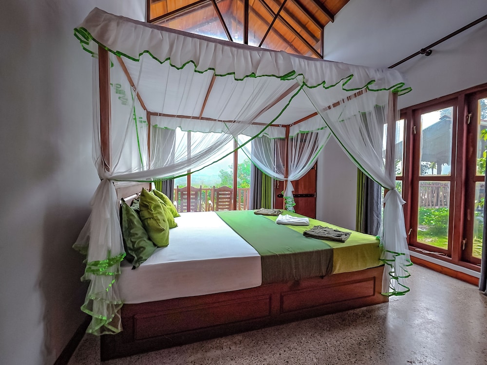 Rain Forest Vibe Sinharaja