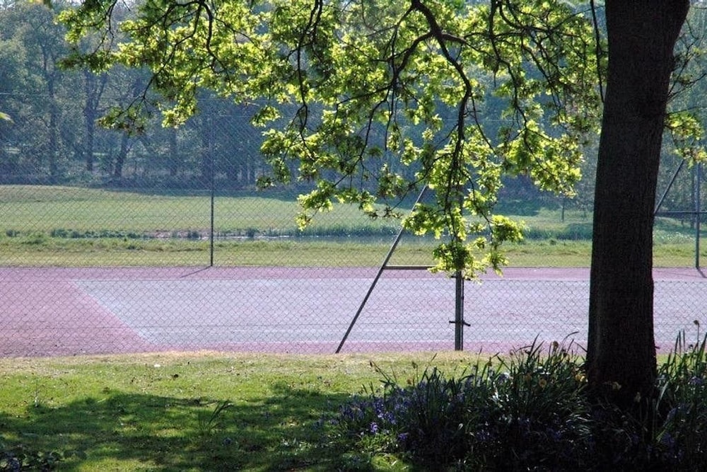 Photo 46