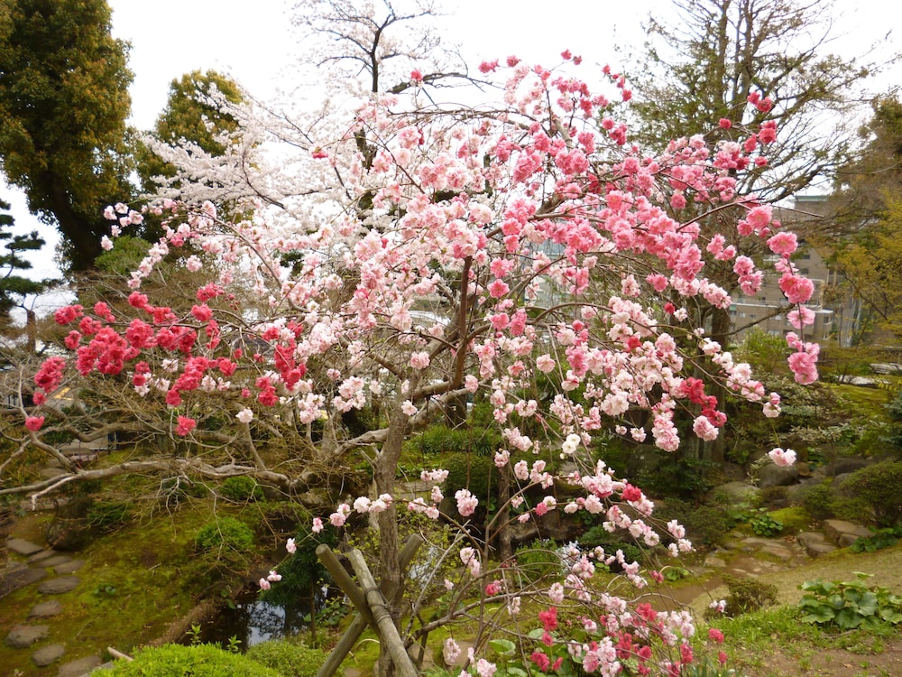 Atami Taikansou