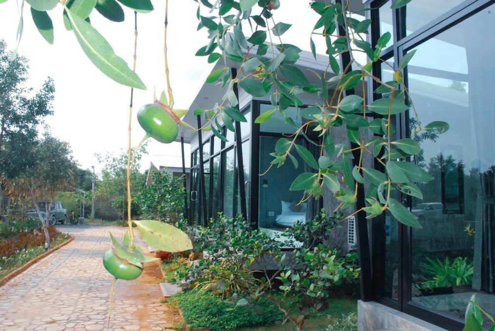 Baannok Plaina Homestay