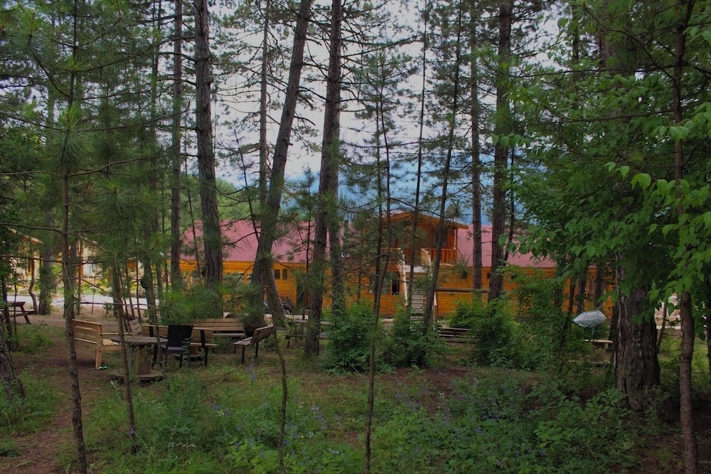 Photo 20