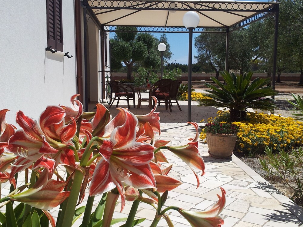 B&B Otranto Le Sancinare