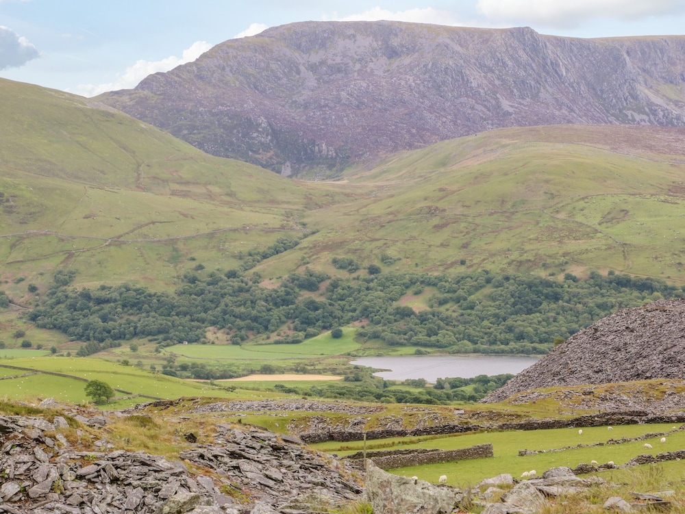 Bryn Derwen