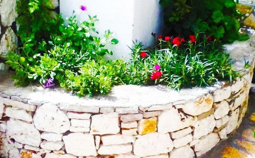 Dionysia Rooms