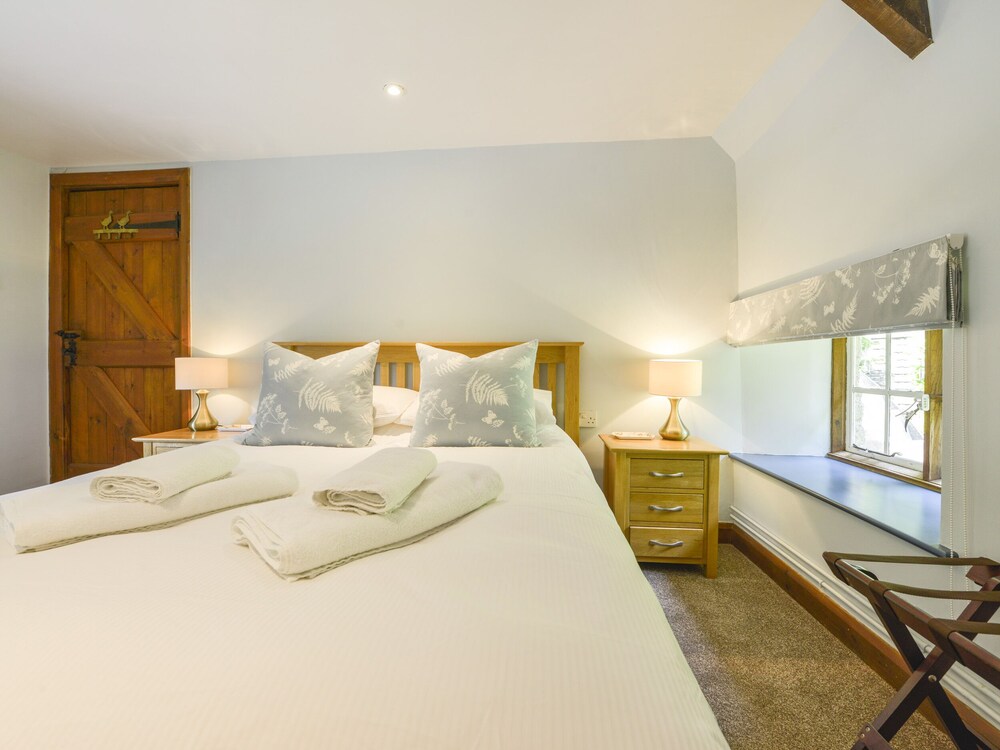 Newton Abbot Vacations - Bagtor Mill - Property Image 19