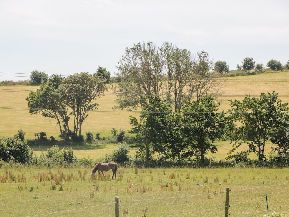 Dirdale