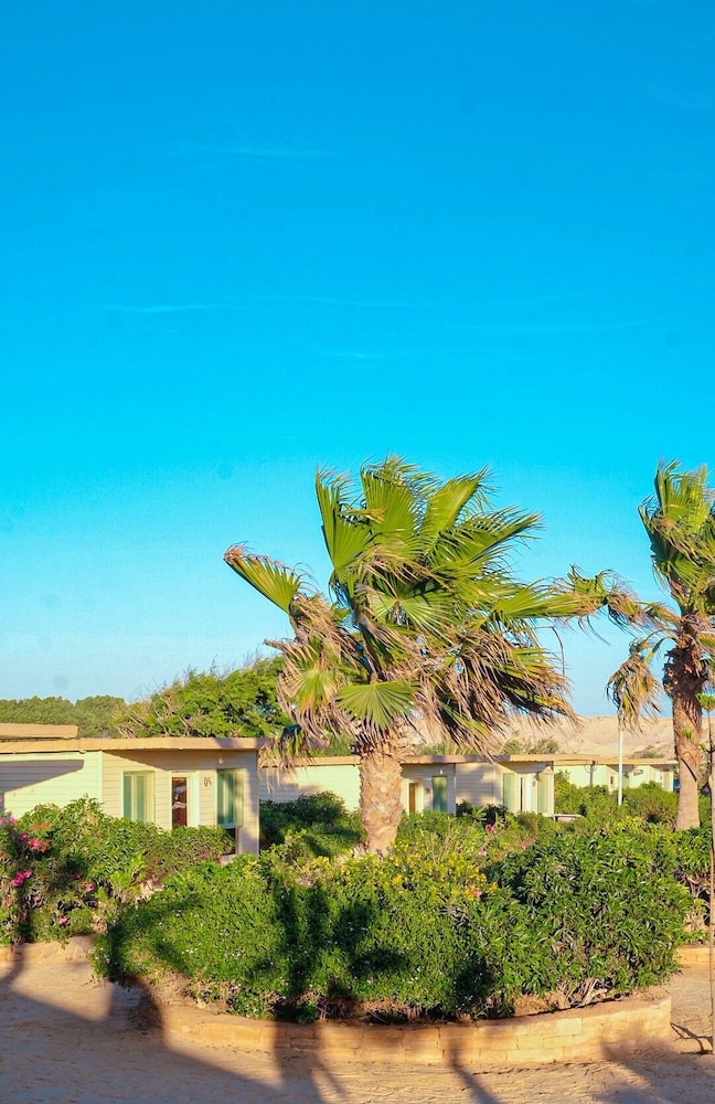 Nomade Auberge