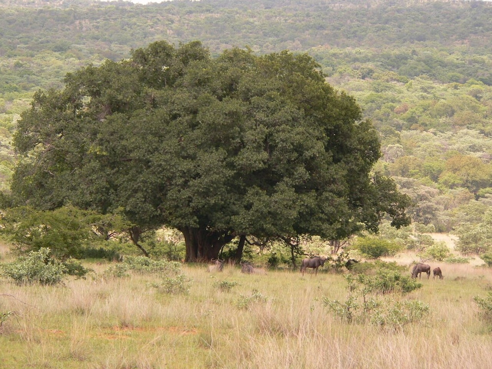 Photo 47