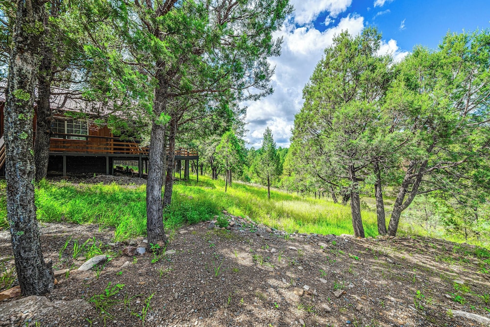 'ridgeview Adventure' - 14 Mi to Ski Apache!