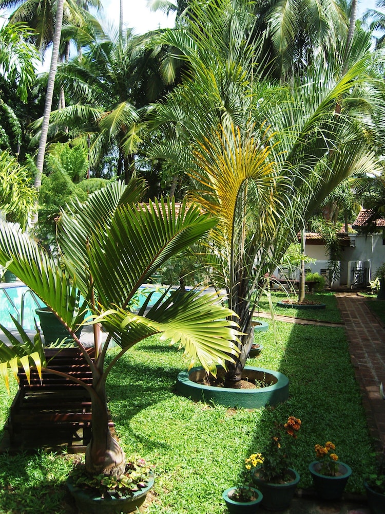Sankarest Villa