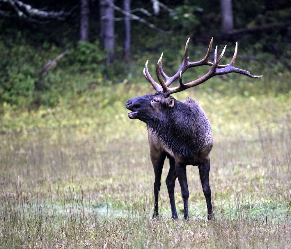 Pet-friendly Slocomb Vacation Rental w/ Sunroom! - Property Image 37