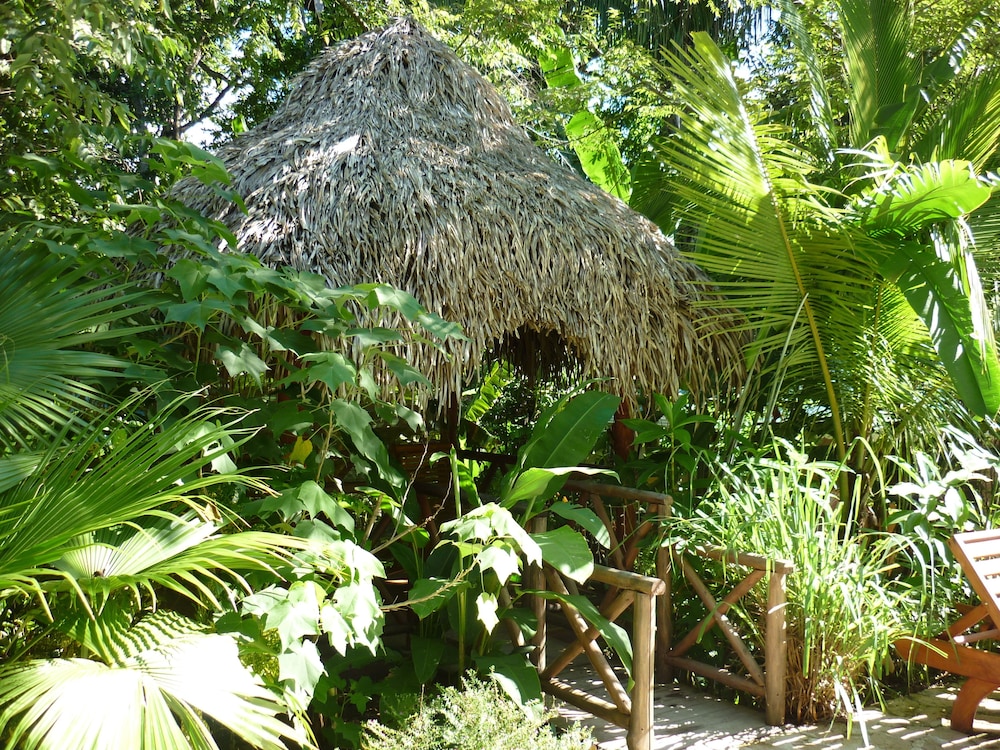 Hotel El Pequeño Gecko Verde