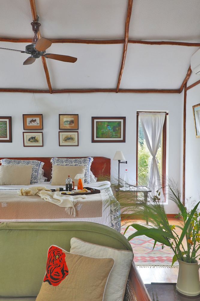 Jim's Jungle Retreat