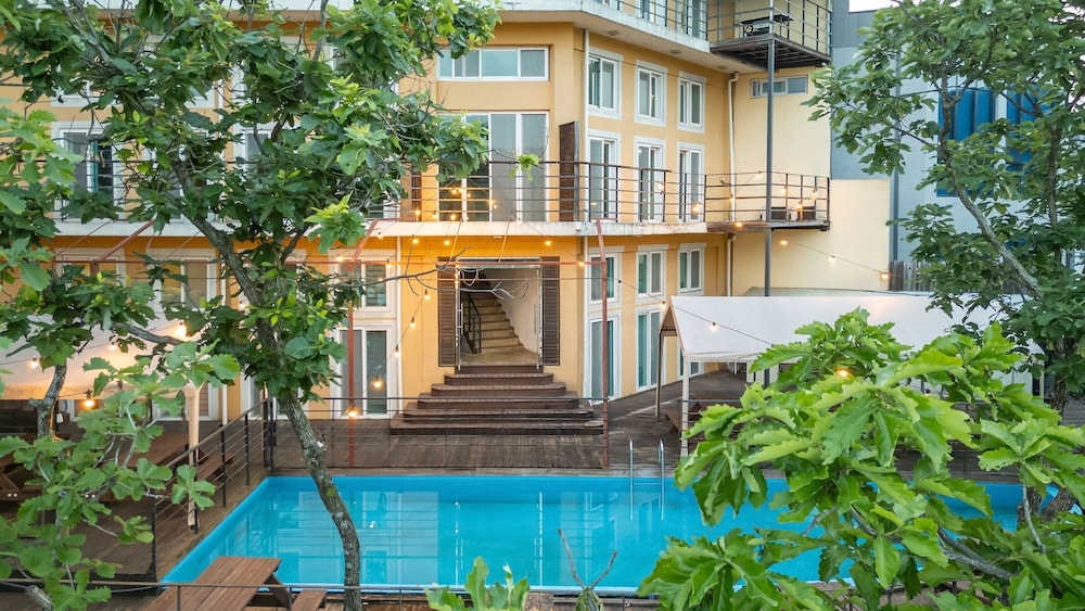 Gapyeong Nami Island Pet-friendly Spa Pe