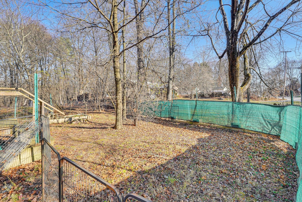 Near Historic Sites: Colorful Hyde Park Apartment!