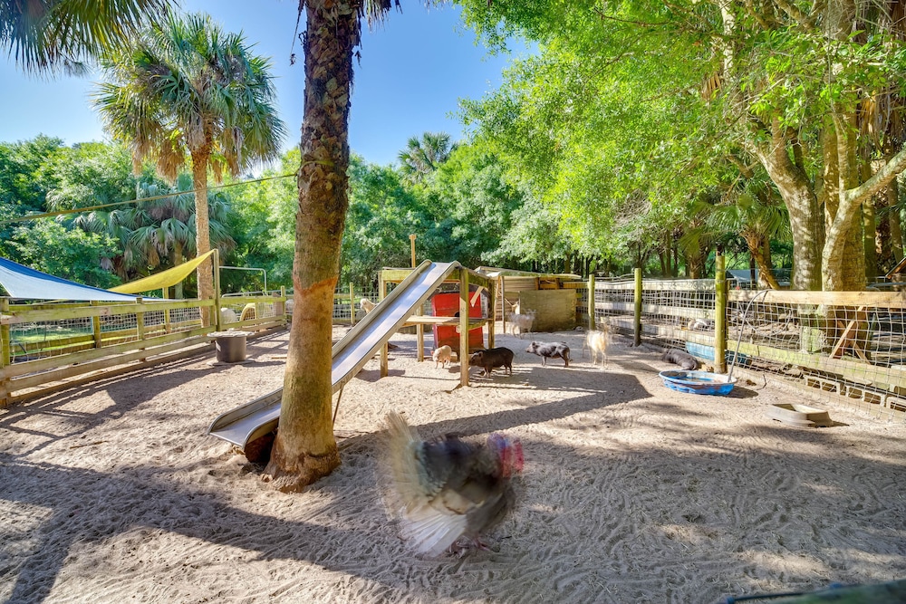 Vero Beach Vacations - Cozy Fort Pierce Cottage on Farm Animal Rescue! - Property Image 12