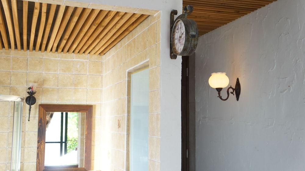 35 A-Li BnB