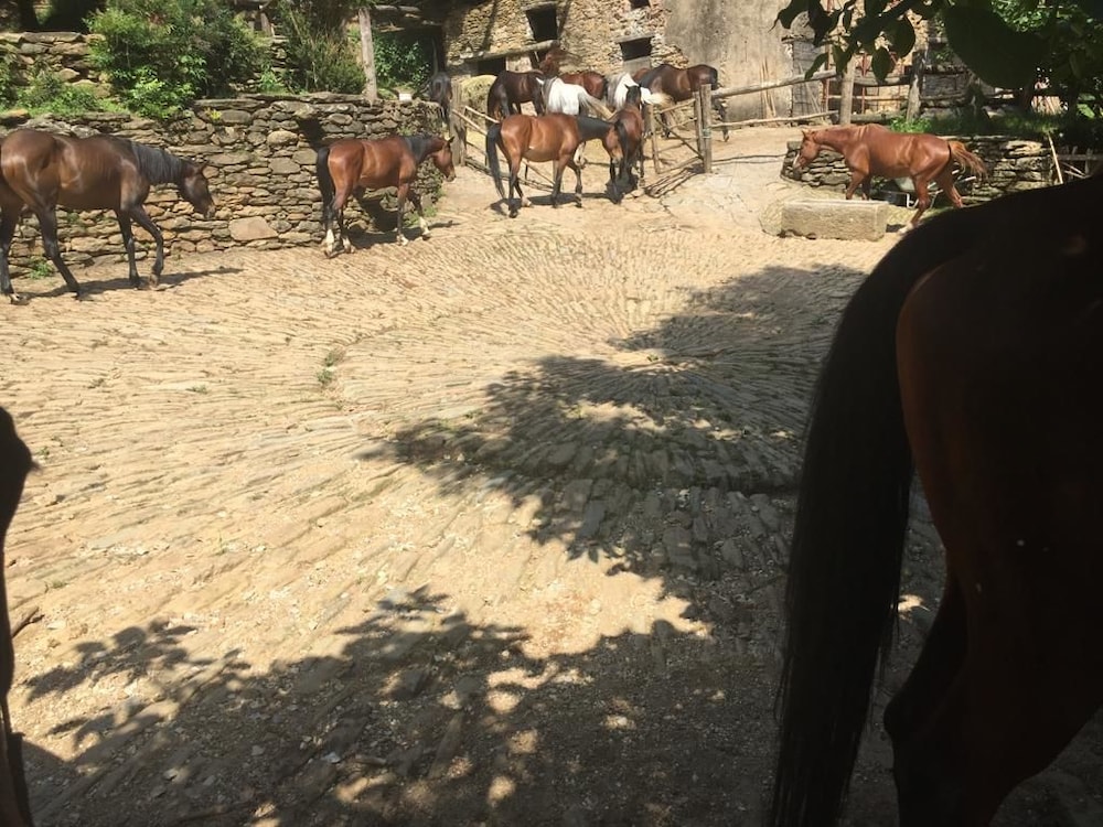 Centro Trekking A Cavallo Monte Brugiana, photo 15