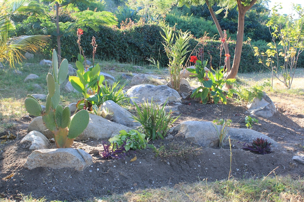 Photo 6