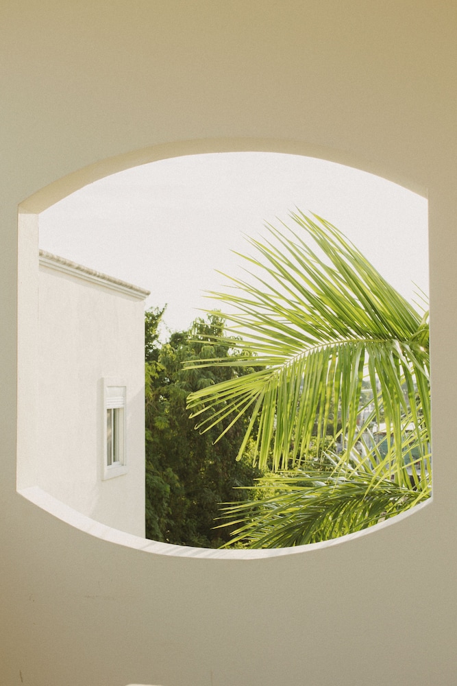 Gardenia Collective